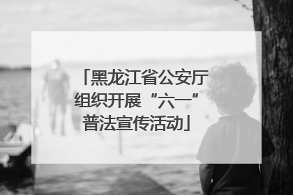 黑龙江省公安厅组织开展“六一”普法宣传活动