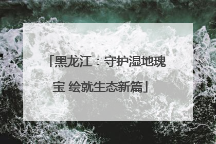 黑龙江：守护湿地瑰宝 绘就生态新篇