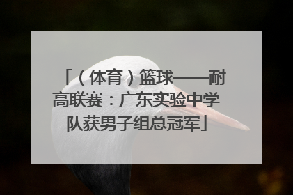 （体育）篮球——耐高联赛：广东实验中学队获男子组总冠军