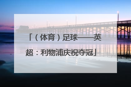(体育)足球——英超:利物浦庆祝夺冠