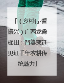 （乡村行·看振兴）广西龙脊梯田：背篓变迁见证千年农耕传统魅力
