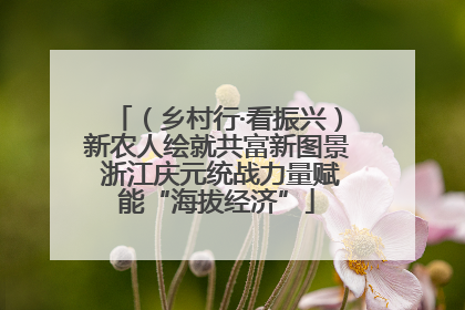 （乡村行·看振兴）新农人绘就共富新图景 浙江庆元统战力量赋能“海拔经济”