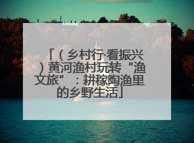 （乡村行·看振兴）黄河渔村玩转“渔文旅”：耕稼陶渔里的乡野生活