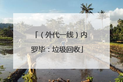（外代一线）内罗毕：垃圾回收