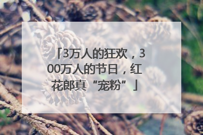 3万人的狂欢，300万人的节日，红花郎真“宠粉”