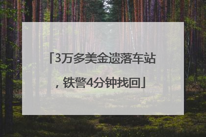 3万多美金遗落车站，铁警4分钟找回