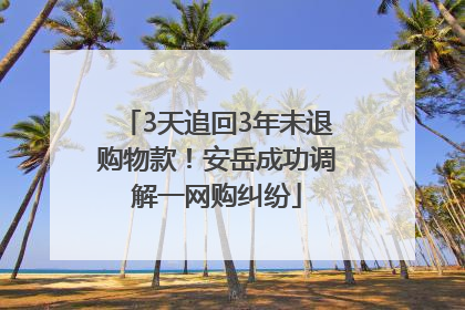 3天追回3年未退购物款！安岳成功调解一网购纠纷