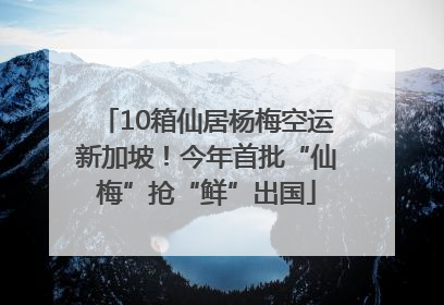 10箱仙居杨梅空运新加坡！今年首批“仙梅”抢“鲜”出国