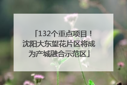132个重点项目！沈阳大东望花片区将成为产城融合示范区