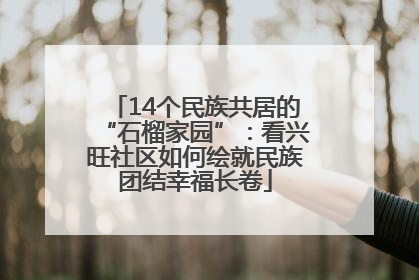 14个民族共居的“石榴家园”：看兴旺社区如何绘就民族团结幸福长卷