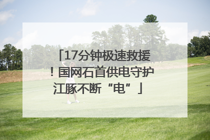17分钟极速救援！国网石首供电守护江豚不断“电”