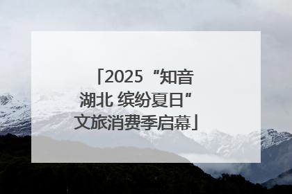 2025“知音湖北 缤纷夏日”文旅消费季启幕