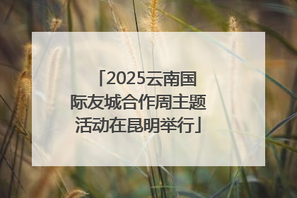2025云南国际友城合作周主题活动在昆明举行