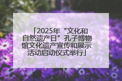 2025年“文化和自然遗产日”孔子博物馆文化遗产宣传和展示活动启动仪式举行
