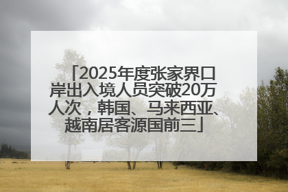 2025年度张家界口岸出入境人员突破20万人次，韩国、马来西亚、越南居客源国前三