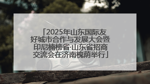2025年山东国际友好城市合作与发展大会暨印尼楠榜省·山东省招商交流会在济南槐荫举行