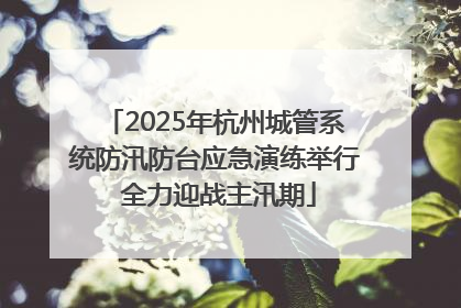 2025年杭州城管系统防汛防台应急演练举行 全力迎战主汛期