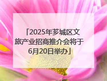 2025年芗城区文旅产业招商推介会将于6月20日举办