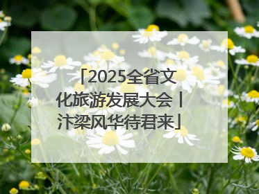 2025全省文化旅游发展大会丨汴梁风华待君来