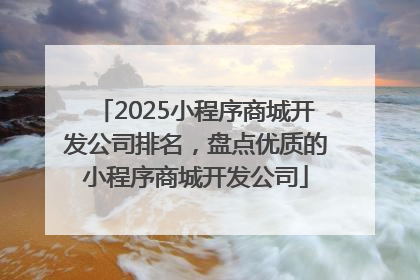 2025小程序商城开发公司排名，盘点优质的小程序商城开发公司