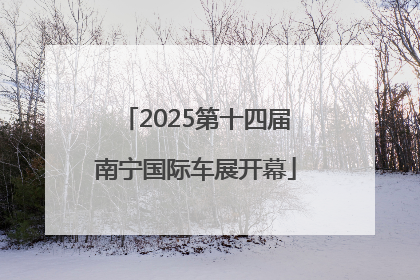 2025第十四届南宁国际车展开幕