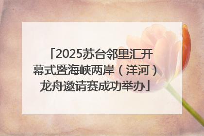 2025苏台邻里汇开幕式暨海峡两岸（洋河）龙舟邀请赛成功举办