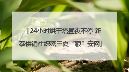 24小时烘干塔昼夜不停 新泰供销社织密三夏“粮”安网