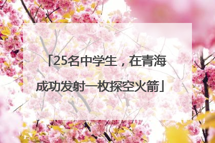 25名中学生，在青海成功发射一枚探空火箭