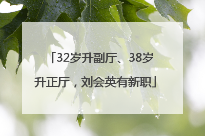 32岁升副厅、38岁升正厅，刘会英有新职