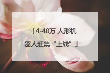 4-40万 人形机器人赶集“上线”
