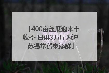 400亩丝瓜迎来丰收季 日供3万斤为沪苏锡常餐桌添鲜