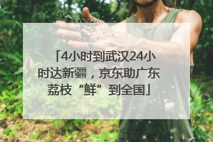 4小时到武汉24小时达新疆，京东助广东荔枝“鲜”到全国