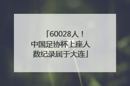 60028人！中国足协杯上座人数纪录属于大连