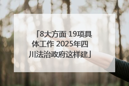 8大方面 19项具体工作 2025年四川法治政府这样建