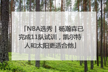 NBA选秀｜杨瀚森已完成11队试训，凯尔特人和太阳更适合他