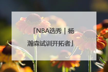 NBA选秀｜杨瀚森试训开拓者