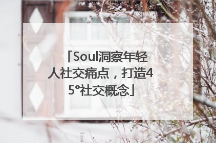 Soul洞察年轻人社交痛点，打造45°社交概念